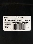 Липа мелколистная, саженец 60–90 см, горшок С3, Лето 2026, «ПОИСК» - Фото 2