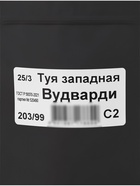 Туя западная «Вудварди», саженец 30–40 см, горшок С2, 1 шт., Лето 2026, «ПОИСК» - Фото 2