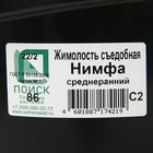 Жимолость съедобная «Нимфа», саженец 20-40 см, горшок С2, 1 шт., Лето 2026, «ПОИСК» - Фото 2