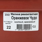 Саженец Малина ремонтантные сорта Оранжевое Чудо, С2 горшок, Н20-40 высота, 1 шт., Лето 2025 9073556 - фото 5176870