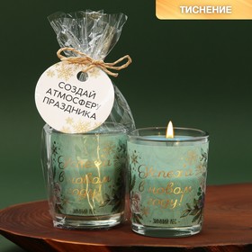 Новогодняя свеча в стакане «Успеха», аромат зимний лес, 5 х 5 х 6 см Ош