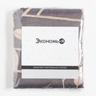 Постельное бельё Экономь и Я 2 сп «Листопад» 173х215 см, 175х214 см, 50х70см-2шт, 60 г/м2, микрофибра - фото 49539897