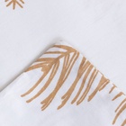 Постельное бельё LoveLife 2сп «Шишки» 175х215 см, 200х225 см, 50х70 см-2шт, 100%хлопок, сатин - фото 809063384