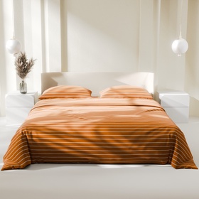 Постельное бельё дуэт «Этель» Mustard stripes, поплин