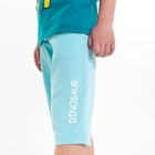 Шорты для мальчика, цвет голубой, рост 116 - фото 41439721