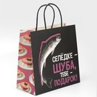 Пакет подарочный «Шуба», 22 × 22 × 11 см - фото 806513333