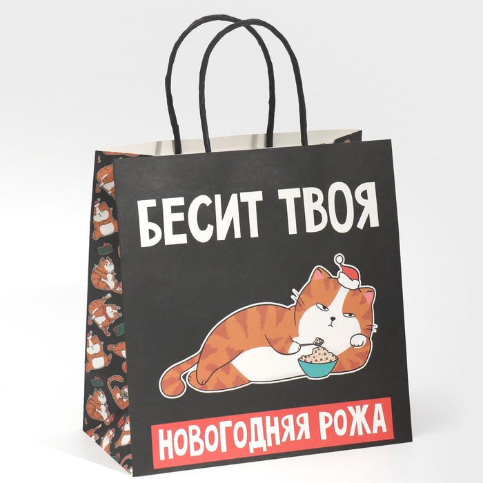 Пакет подарочный новогодний «Рожа», 22×22×11 см