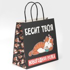 Пакет подарочный «Рожа», 22 × 22 × 11 см - фото 804882092