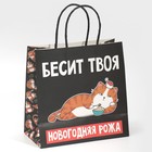 Пакет подарочный «Рожа», 22 × 22 × 11 см - фото 804882093