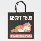 Пакет подарочный «Рожа», 22 × 22 × 11 см - фото 804882095