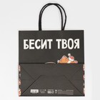 Пакет подарочный «Рожа», 22 × 22 × 11 см - фото 804882096