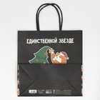 Пакет подарочный «Звезда», 22 х 22 х 11 см, Новый год - фото 21633695