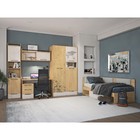 Шкаф для одежды «Стэнфорд», 1170 × 567 × 2184 мм, цвет дуб бунратти / слейт - Фото 3