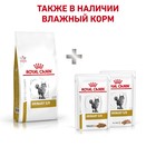 Сухой корм RC Urinary S/O для кошек, 3.5 кг - Фото 6