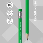 Карандаш чернографитный с ластиком ErichKrause Academy, НВ, грифель d=2,2 мм, дерево, шестигранный в коробке, микс 9073812