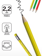 Карандаш чернографитный с ластиком ErichKrause Academy, НВ, грифель d=2,2 мм, дерево, шестигранный в коробке, микс 9073812