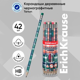 Карандаш чернографитный с ластиком ErichKrause "Tartan", HB, грифель d=2.2 мм, дерево, трeхгранный с принтом, в тубусе, микс