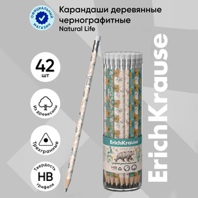 Карандаш чернографитный с ластиком ErichKrause "Natural Life", HB, грифель d=2.2 мм, дерево, трeхгранный с принтом, в тубусе, микс