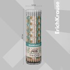 Карандаш чернографитный, ErichKrause «Natural Life», HB, d=2.2 мм, с ластиком, трехгранный, в тубусе, дерево, микс 9073821 - фото 16335713