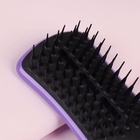 Расчёска массажная, 6,7 × 22 см, цвет МИКС - фото 27096266