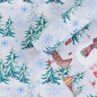 Бумага упаковочная глянцевая двухсторонняя МИКС «С новым годом!», 50 х 70 см 7986297