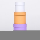 Набор круглых коробок 3 в 1 "Краски", ассорти , 18 х 18 х 18 - 14 х 14 х 14 см - фото 24301885