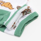 Носки женские MINAKU «Вкусняшки», набор 5 пар, размер 36-39 (23-25 см) - фото 24242264