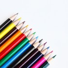 Цветные карандаши 12 цветов заточенные трехгранные деревянный корпус - Фото 3