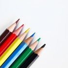 Карандаши цветные ArtFox STUDY, заточенные, шестигранные 6 цветов, корпус деревянный, картонная коробка с европодвесом. - фото 6622861