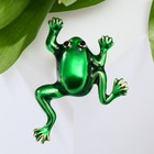 Брошь «Лягушка» скачущая, цвет зелёный в золоте - Фото 1