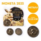 Сувенирная монета 2023 «Богатого года и счастья в придачу!», латунь, d = 2,5 см - фото 11512678