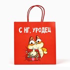 Пакет подарочный новогодний «Уродец», 22 х 22 х 11 см 7661215 - фото 13940936