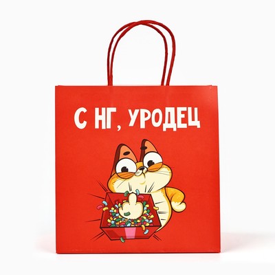 Пакет подарочный новогодний «Уродец», 22×22×11 см