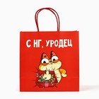 Пакет подарочный новогодний «Уродец», 22 х 22 х 11 см 7661215 - фото 13940937