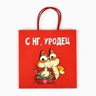 Пакет подарочный новогодний «Уродец», 22 х 22 х 11 см 7661215 - фото 13940938