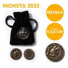 Монета в мешочке"Будет удачный год", d=2,5 см - фото 9797397