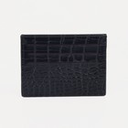 Картхолдер, цвет чёрный - фото 45564004