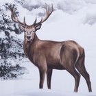 Комплект штор "Этель" Snow forest 145*260 см-2 шт, 100% п/э, 140 г/м2 - Фото 2