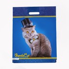 Пакет "Кот джентльмен", полиэтиленовый, с вырубной ручкой, 38 х 47 см, 60 мкм - фото 9798009