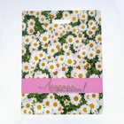 Пакет «Летняя поляна», полиэтиленовый, с вырубной ручкой, 38?47 см, 60 мкм (комплект 25 шт) - фото 67925313