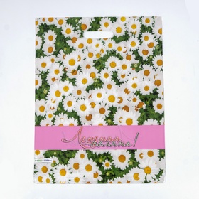 Пакет «Летняя поляна», полиэтиленовый, с вырубной ручкой, 38?47 см, 60 мкм (комплект 25 шт)