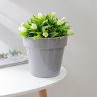 Кашпо для цветов со вставкой «Порто», 2,4 л, цвет серый - фото 318922418