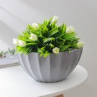 Кашпо для цветов с автополивом «Ракушка», 2.4 л, d=22 см, h=10.5 см, серое - Фото 1