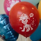 Шар латексный 12" «Щенячий Патруль», набор 5 шт., МИКС 9036082