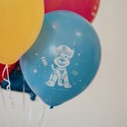 Шар латексный 12" «Щенячий Патруль», набор 5 шт., МИКС 9036082