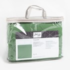 Покрывало LoveLife Евро 200х210±5 см, цвет зелёный, микрофайбер, 100% п/э - Фото 4
