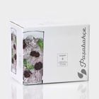 Стаканы высокие Paşabahçe Kosem, 260 мл, стекло, прозрачные, набор 6 шт. 166806