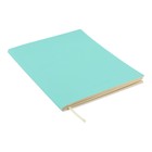 Дневник универсальный для 1-11 класса Minty soft touch, мягкая обложка, искусственная кожа, ляссе, 80 г/м2 - Фото 2