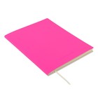 Дневник универсальный для 1-11 класса Pink soft touch, мягкая обложка, искусственная кожа, ляссе, 80 г/м2 - Фото 2