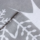 Постельное бельё евро «Этель» Snowfall, бязь - фото 33110708